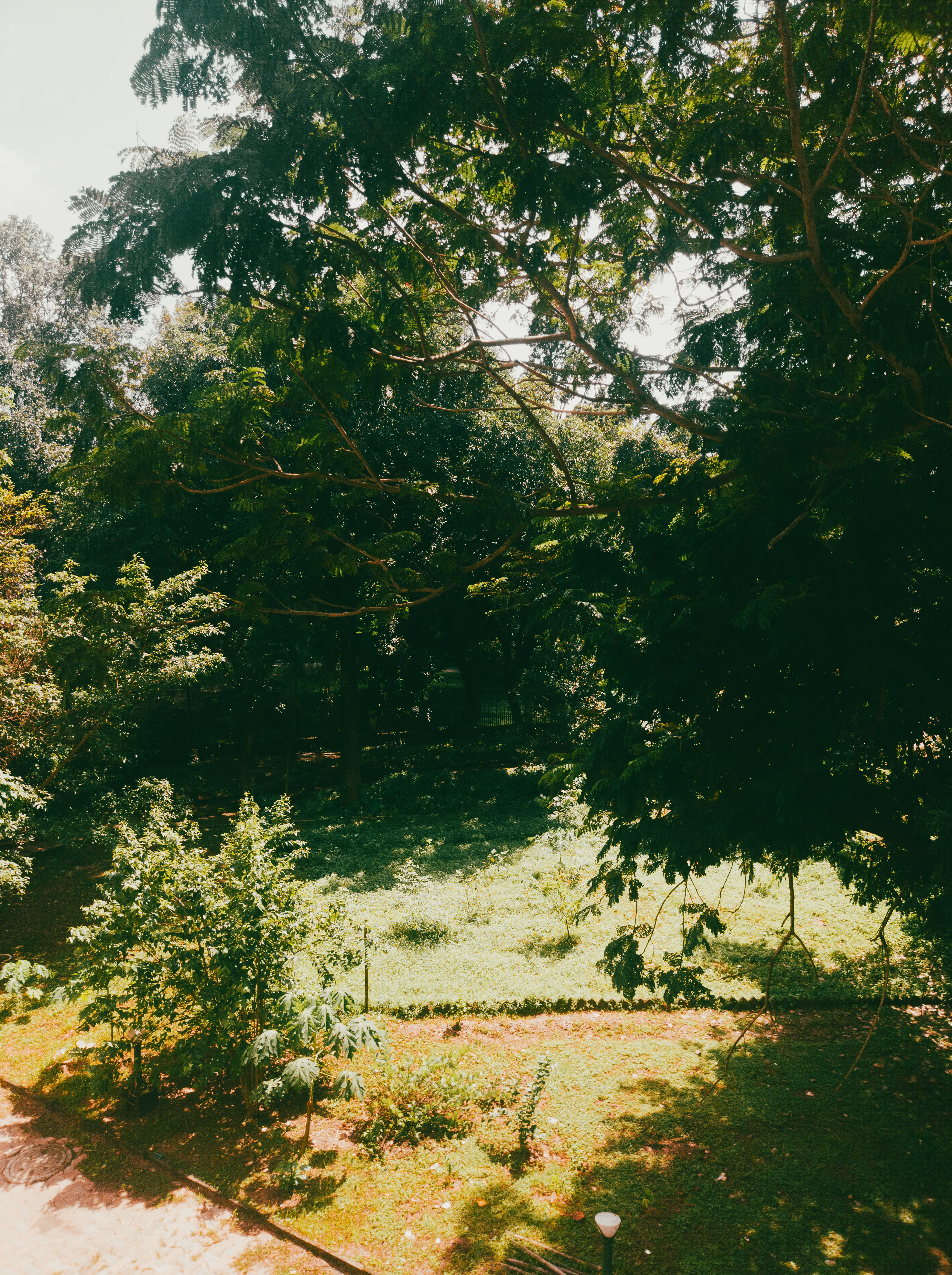 Lazy Summer Afternoon